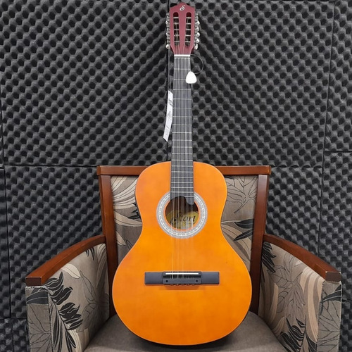 Imagem 2 de 9 de Viola Giannini Eletro Acustica Vs-14 Eq Ns