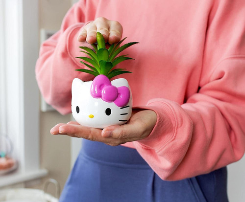 Sanrio Hello Kitty Face 3-inch Ceramic Mini Planter With Art