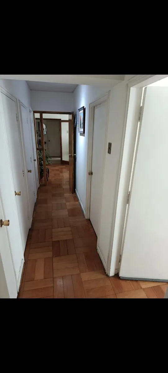 Imagen 4 de 25 de Departamento En El Barrio Lastarria Frente Al Parque Foresta