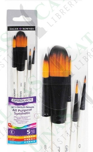 Pinceles Daler Rowney Estuche X 5 Unidades Microcentro