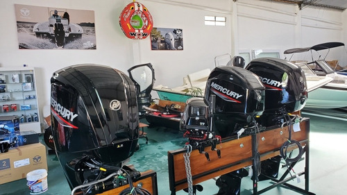 Imagen 5 de 8 de Mercury 60hp Ct 4t