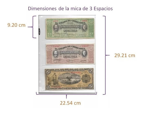 10 Micas Hojas Bcw Para Billetes 3 Espacios Para 30 Billetes
