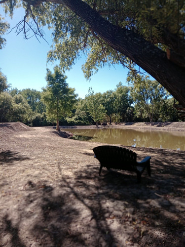 Imagen 9 de 10 de Movimiento De Suelos Con Maquina Excavadora Islas Delta Rio