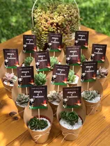 Comprar Macetas Souvenir Cactus Y Suculentas!!! 10 Unidades!!!