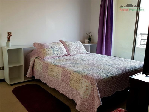 Imagen 11 de 17 de Departamento En Venta En Ed. Parque Alameda