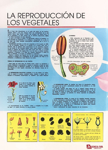 Atlas De Botánica