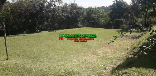 Imagem 6 de 15 de Linda Chácara Em Fazenda Bom Retiro-sjc - 1969