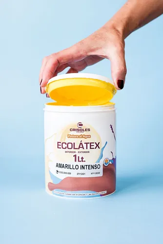 Pintura Latex Int Ext Antihongos 4lt Ecolatex Crisoles Acabado Mate Color Salmon