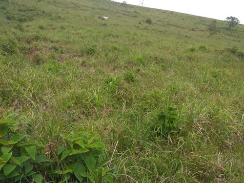 Imagem 3 de 30 de Fazenda - Fa00004 - 67650297