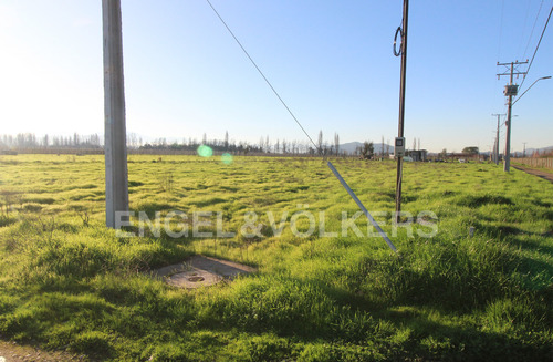 Sitio En Loteo Viña Las Kuras En Requínoa