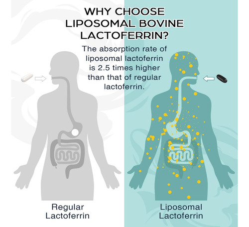Lactoferrina Liposomal Max 1000mg +hierro +salud Inmune