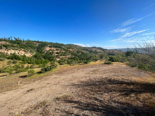 Terreno En Arriendo Con Alto Potencial Multipropósito