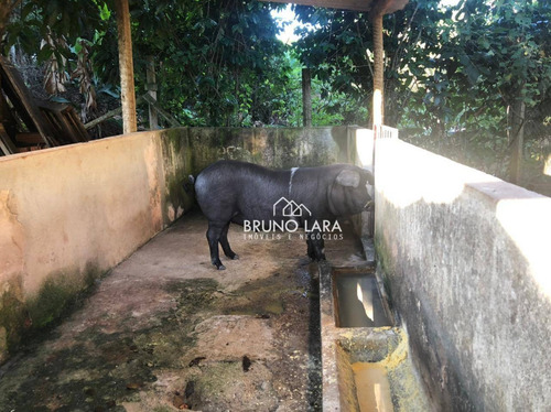 Imagem 25 de 30 de Sítio À Venda Em Igarapé Bairro Miriti - Si0077