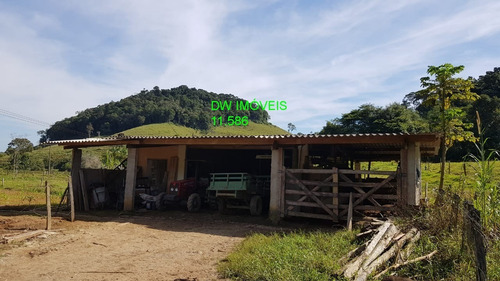 Imagem 19 de 30 de Juquiá/sitio Com Pupunha/ Pasto E 05 Lagos Para Pesqueiro - 04857 - 34121206
