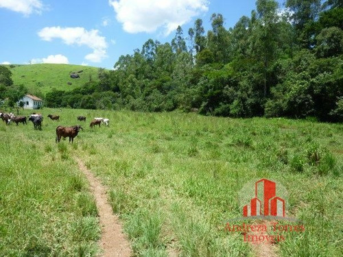 Imagem 8 de 30 de Sítio Sítio À Venda Em Taubaté/sp - 1386