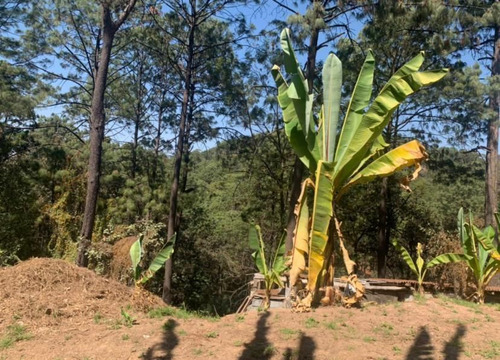 Terreno Semiplano En Circuito Avándaro Con Título Privado