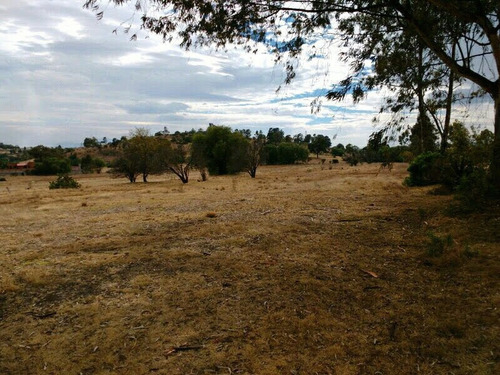 Imagen 4 de 9 de Terreno En Excelente Ubicación