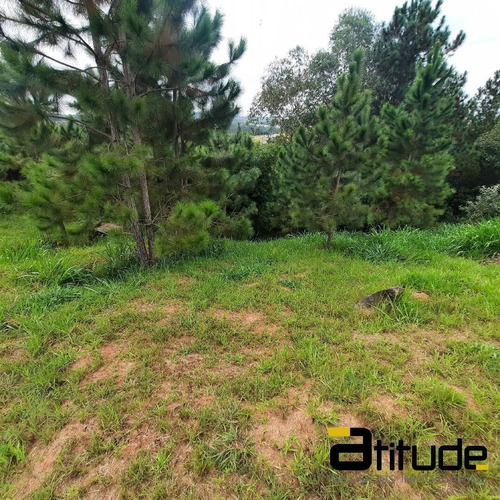 Imagem 6 de 14 de Terreno A Venda No Reserva Santa Anna. - 4834