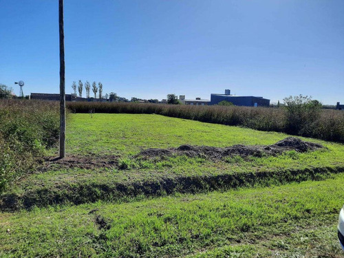 Imagen 2 de 10 de Terreno - Pujato Norte