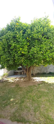 Apto Bancor ! Vendo Casa 3 Dorm. Residencial América, Cba