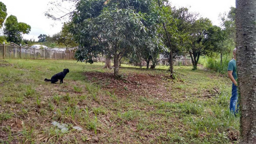 Imagem 5 de 7 de Linda Chácara Plana Em Santana De Parnaíba