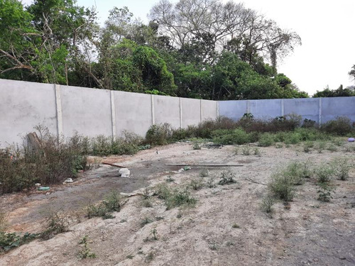 Venta Terreno 1275 M² Col. Cruz Naranjos Tuxpan Veracruz