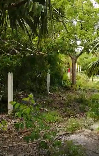 Terreno En Venta En Holbox, Quintana Roo