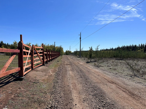 Oportunidad Parcela 5.000 Mts (93879)