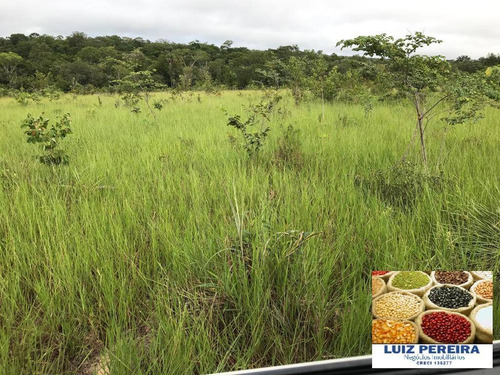 Imagem 10 de 15 de Fazenda À Venda Em Recursolândia - Ms - De 1.041 Alqueirões - 1648