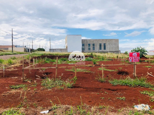 Imagem 4 de 5 de Terreno À Venda, Floresta - Cascavel/pr - 11234