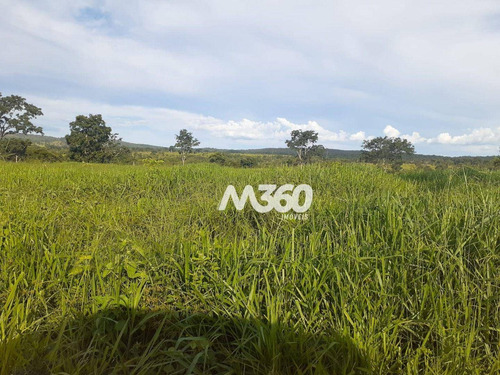 Imagem 20 de 25 de Chácara Com 6 Dormitórios À Venda, 145200 M² Por R$ 800.000,00 - Zona Rural - Urutaí/go - Ch0012