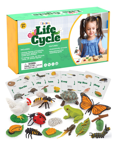 Kit De Ciclo Vital Montessori  Juguetes De Figuras Reali.