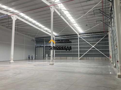 Arriendo Bodega De 1.200 M2 En P. Industrial Enea, Pudahuel.