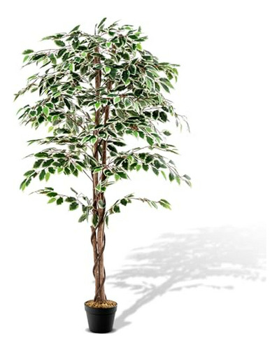 Árbol Ficus Artificial 5.5ft - Hogar Y Oficina