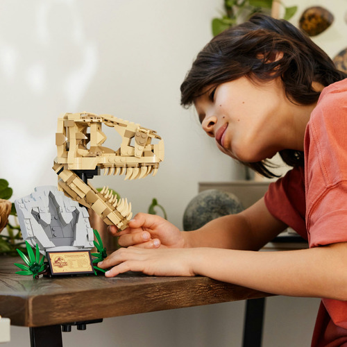 Lego Set Jurassic World Fósseis De Dinossauros T-rex 76964