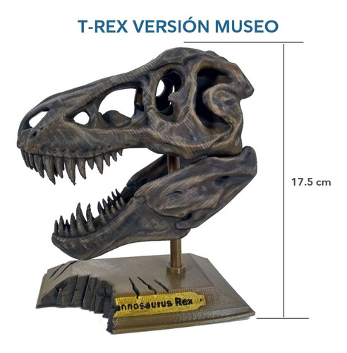 Craneo Dinosaurio T Rex Con Base Modelo Museo 18x14 Cm