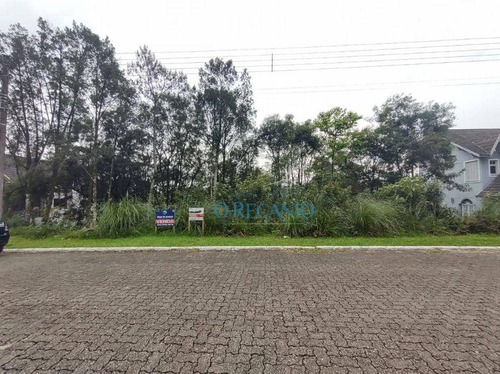 Imagem 3 de 3 de Terreno À Venda, 600 M² Por R$ 375.000,00 - Vale Das Colinas - Gramado/rs - Te0834