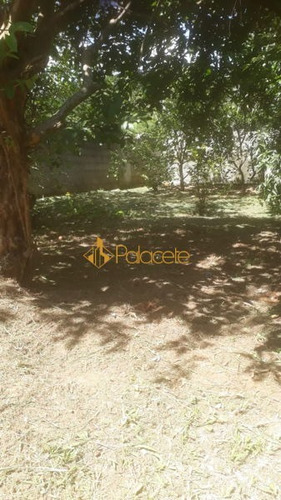 Imagem 2 de 16 de Rural Chacara Com 2 Quartos - 149329-v