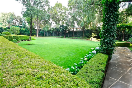 Lomas Parte Baja | Vista A Bosque De Chapultepec | Seguridad Excelente