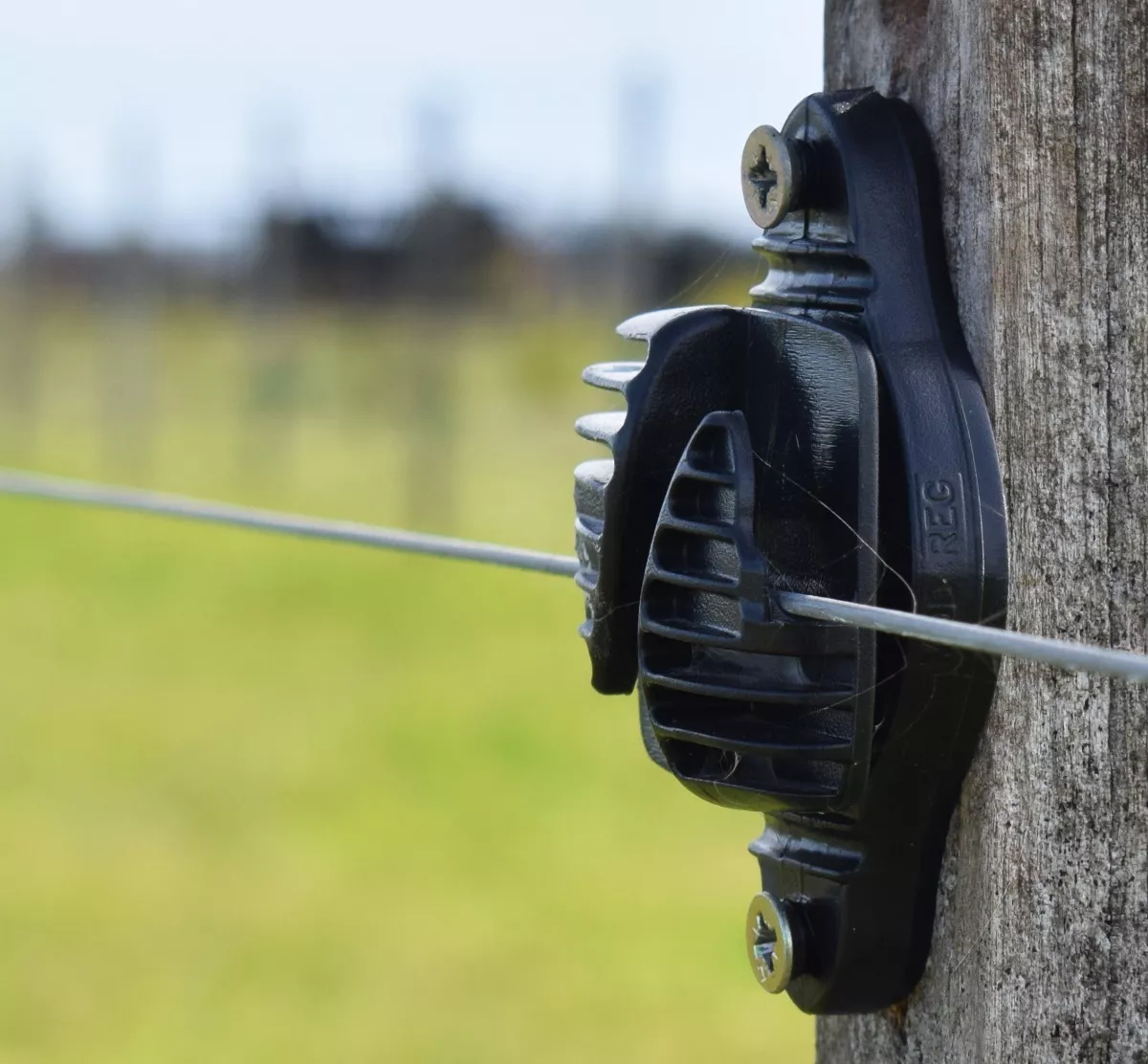 Tercera imagen para búsqueda de boyero electrico