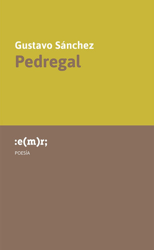 Pedregal, de Gustavo Sanchez. Editorial Municipal de Rosario, tapa blanda en español