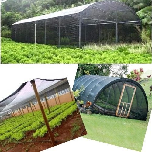 Tela Horta Estufa Plantas Sombrite 50% Cor Preto 2x5 Metros