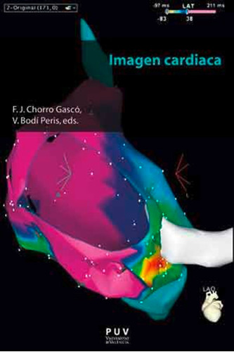 Imagen Cardiaca, De Es Varios Y Otros. Editorial Publicacions De La Universitat De València, Tapa Blanda En Español, 2015