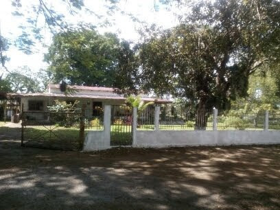 Imagen 2 de 9 de Se Vende Finca En Morichales Sector Cachipo Punceres Ve01-1029pu-mimot