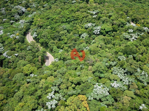 Imagem 16 de 30 de Gênesis 2 - Terreno À Venda, 701 M² - Alphaville - Santana De Parnaíba/sp - Te1729