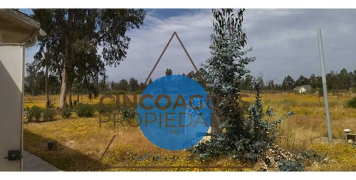 Oportunidad De Arriendo En Catapilco Zapallar