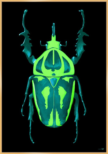 Cuadro Beetle B The Popular Design