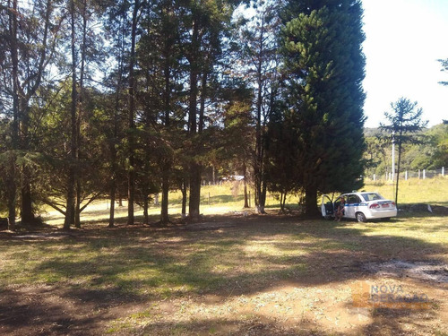 Imagem 3 de 17 de Chácara À Venda, 3090 M² Por R$ 250.000,00 - Vila Seca - Caxias Do Sul/rs - Ch0001