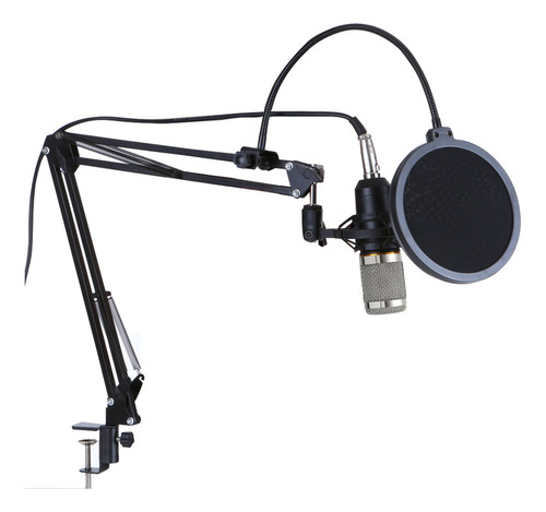 Set De Condensador Microphone Broadcasting Professional Bm80