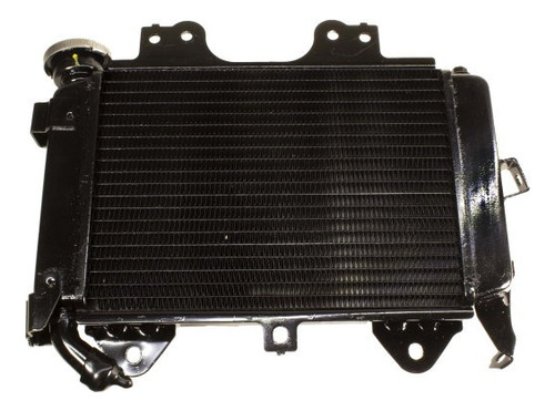 Radiador Completo Para Pulsar Ns 200